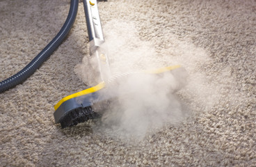 carpet steam cleaning